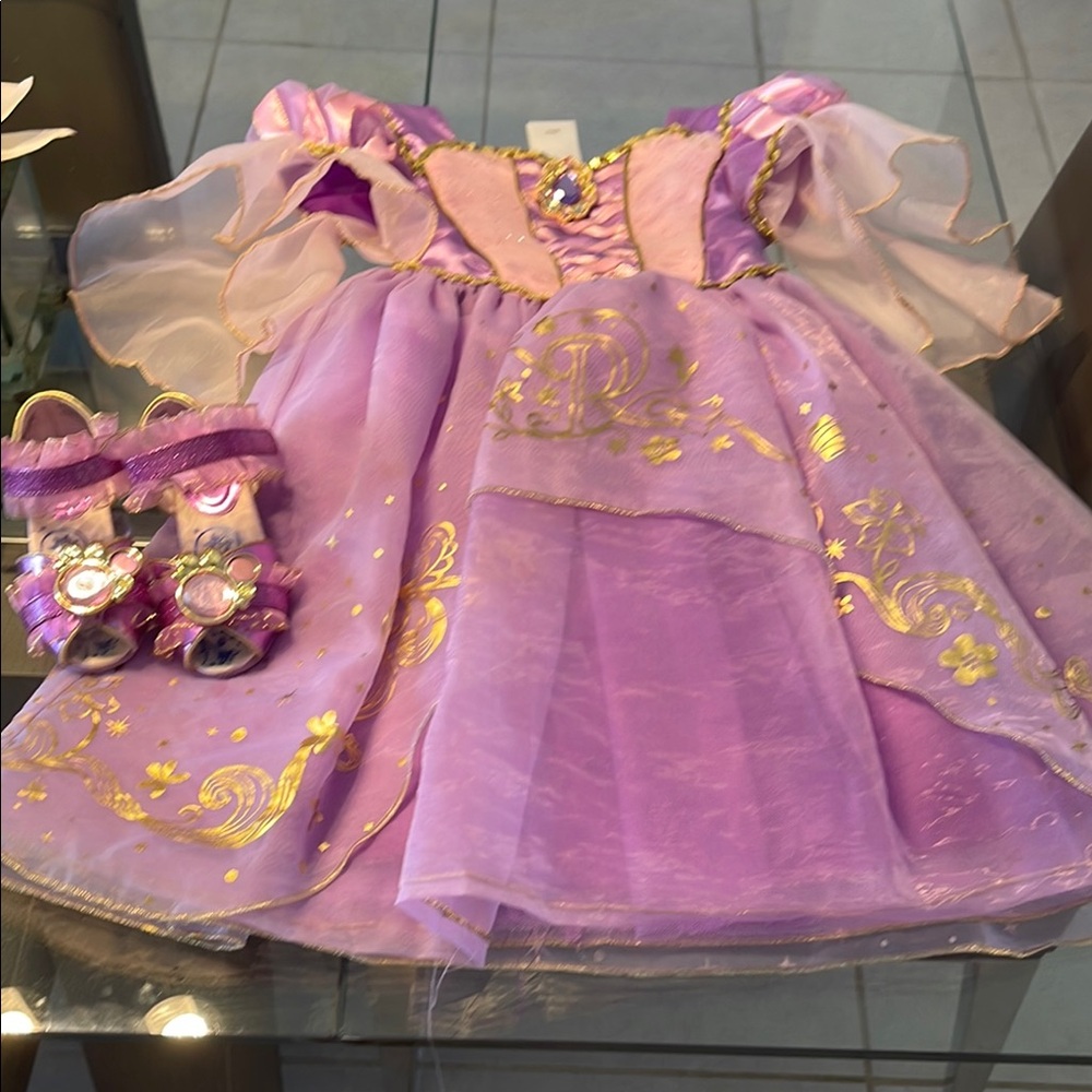 Disney Purple and Gold Theater Costume